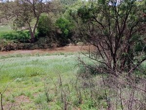 8.6 ha Land available in Lanseria and surrounds