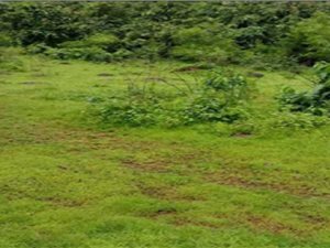 5515 m² Land available in Roodepoort Central