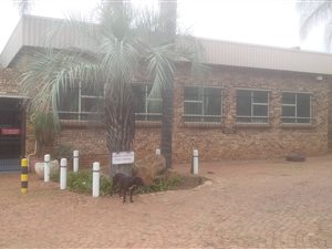 877 m² Commercial space in Bon Accord