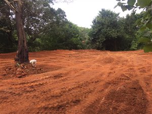 4900 m² Land available in Forest Hills