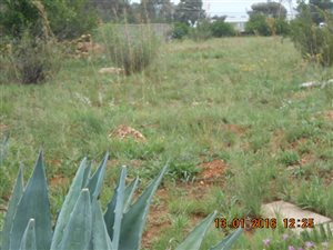1524 m² Land available in Pendale AH