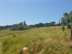 3735 m² Land available in Palm Beach