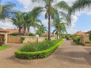 3 Bed Townhouse in Equestria