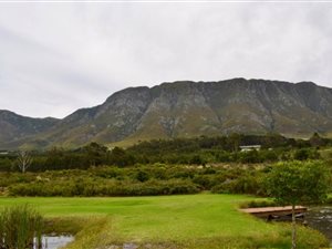 1349 m² Land available in Hemel en Aarde Valley