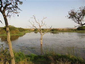 65 ha Farm in Empangeni
