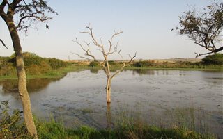 65 ha Farm in Empangeni