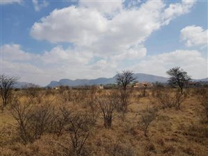 1069 m² Land available in La Camargue