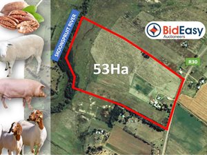 53.5 ha Farm in Ventersdorp