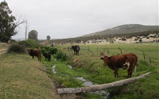31.4 ha Farm in Piketberg