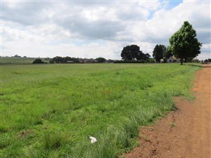 2855 m² Land available in Belfast