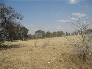 1 ha Land available in Martindale