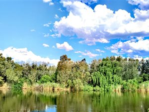 1367 m² Land available in Parys