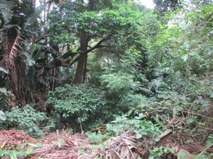1000 m² Land available in Marina Beach