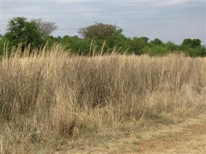 3 ha Land available in Mooiplaats AH