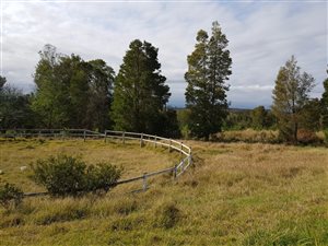 2.5 ha Farm in Plettenberg Bay