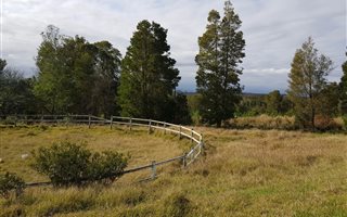 2.5 ha Farm in Plettenberg Bay