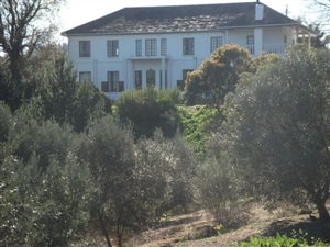 Bachelor apartment in Stellenbosch Agricultural
