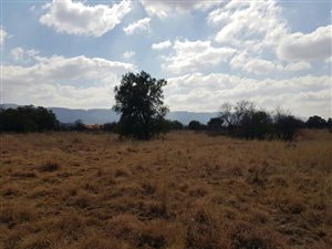 1172 m² Land available in La Camargue