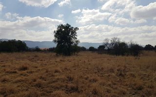 1172 m² Land available in La Camargue