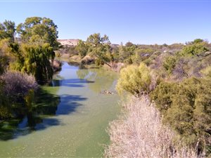 19.7 ha Farm in Pellissier