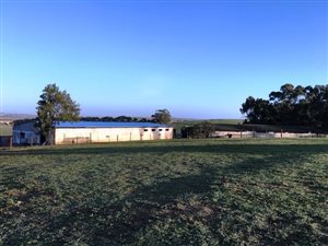 22 ha Farm in Klapmuts