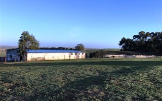 22 ha Farm in Klapmuts
