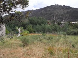 1659 m² Land available in Caledon