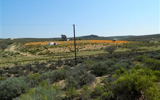 4 Bedroom House in Springbok