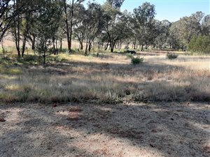 9493 m² Farm in Walkerville