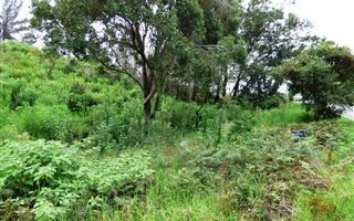 892 m² Land available in Knysna Heights