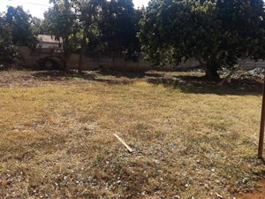 807 m² Land available in Louis Trichardt