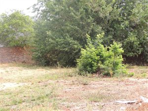 1133 m² Land available in Southdowns Estate