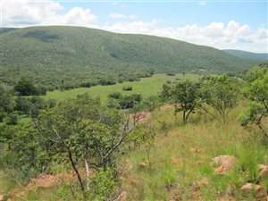 20645 ha Land available in Modimolle