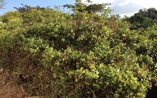 656 m² Land available in Stanger Central