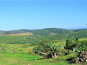 591 m² Land available in Monte Christo