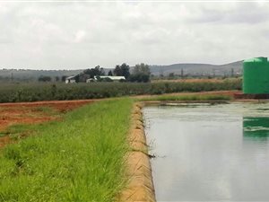 60 ha Farm in Hartswater