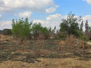 6 ha Farm in Putfontein