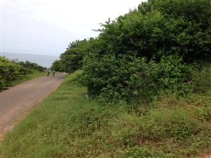 6842 m² Land available in La Mercy
