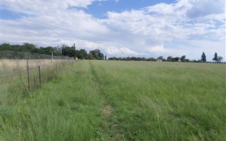 2.1 ha Land available in Mooilande