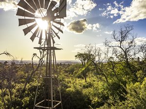 6 ha Land available in Kyalami AH