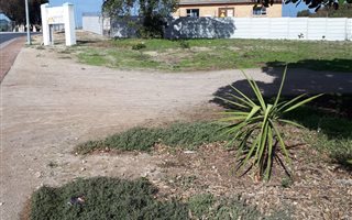 1386 m² Land available in Saldanha