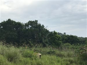 1737 m² Land available in Bazley Beach