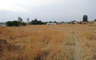 8005 m² Land available in Riversdale