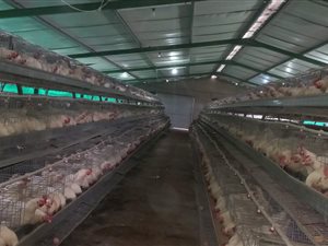 1.1 ha Farm in Rynfield