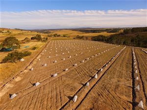 15 ha Land available in Mossel Bay Central