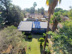 3 Bed House in Oos-Einde