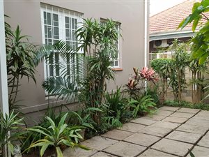 2 Bed Apartment in Morningside