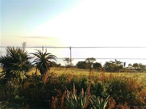 4 ha Farm in Cato Ridge