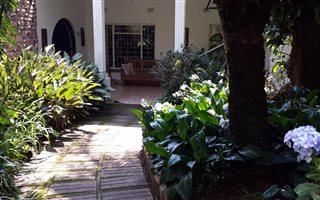 5 ha Farm in Louis Trichardt