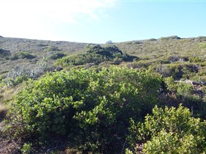 919 m² Land available in Pinnacle Point Golf Estate
